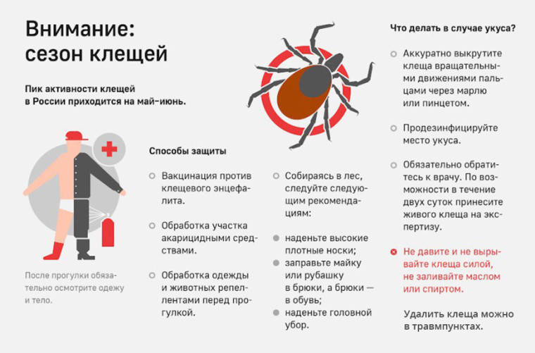 Об организации мероприятий по профилактике клещевых инфекций.
